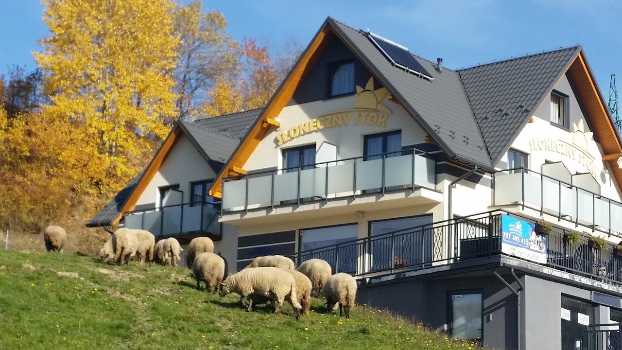 Apartamento Sloneczny Stok Miedzybrodzie Zywieckie Exterior foto